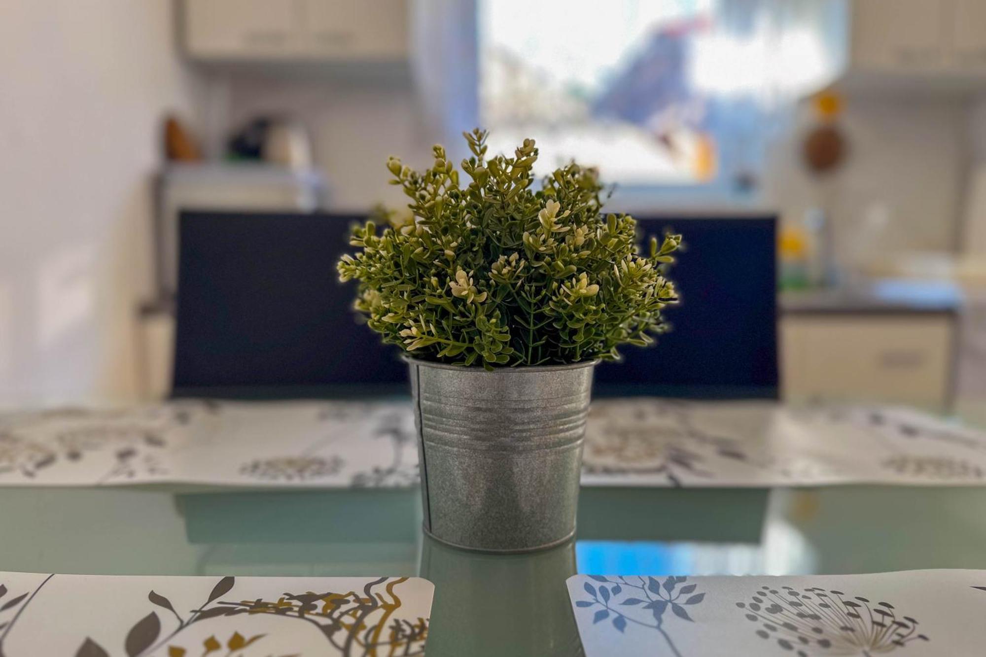 Apartmani Trupeljak Mandre Exteriér fotografie
